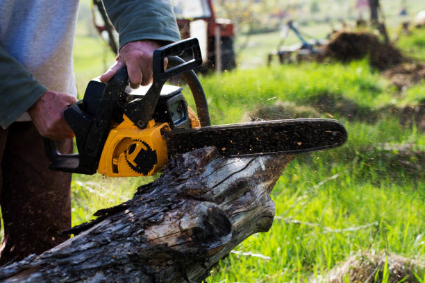 Best Weed Control  in Clovis, CA